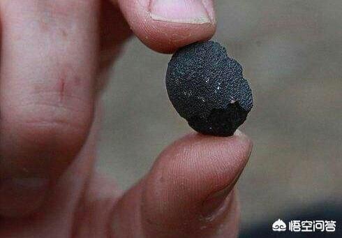 天宝石陨石最新价值,有人说石铁陨石价值千万是真的吗？-第6张图片-面佛网